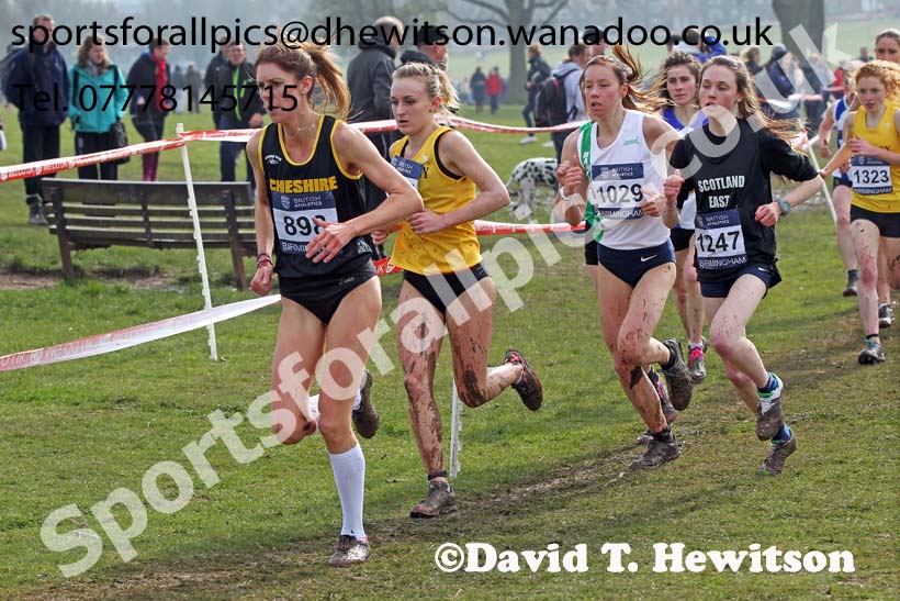Katie Brough (Cheshire) leads Lily Partridge (Surrey), 1029 Jess Andrews (Hampshire) and Rhona Auckland (Scotland East) during the senior womens Inter Counties Cross Country, Cofton Park, Birmingham. Photo: David T. Hewitson/Sports for All Pics